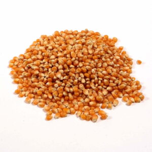 Dorri - Popcorn Kernels